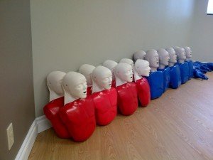 Adult training mannequins